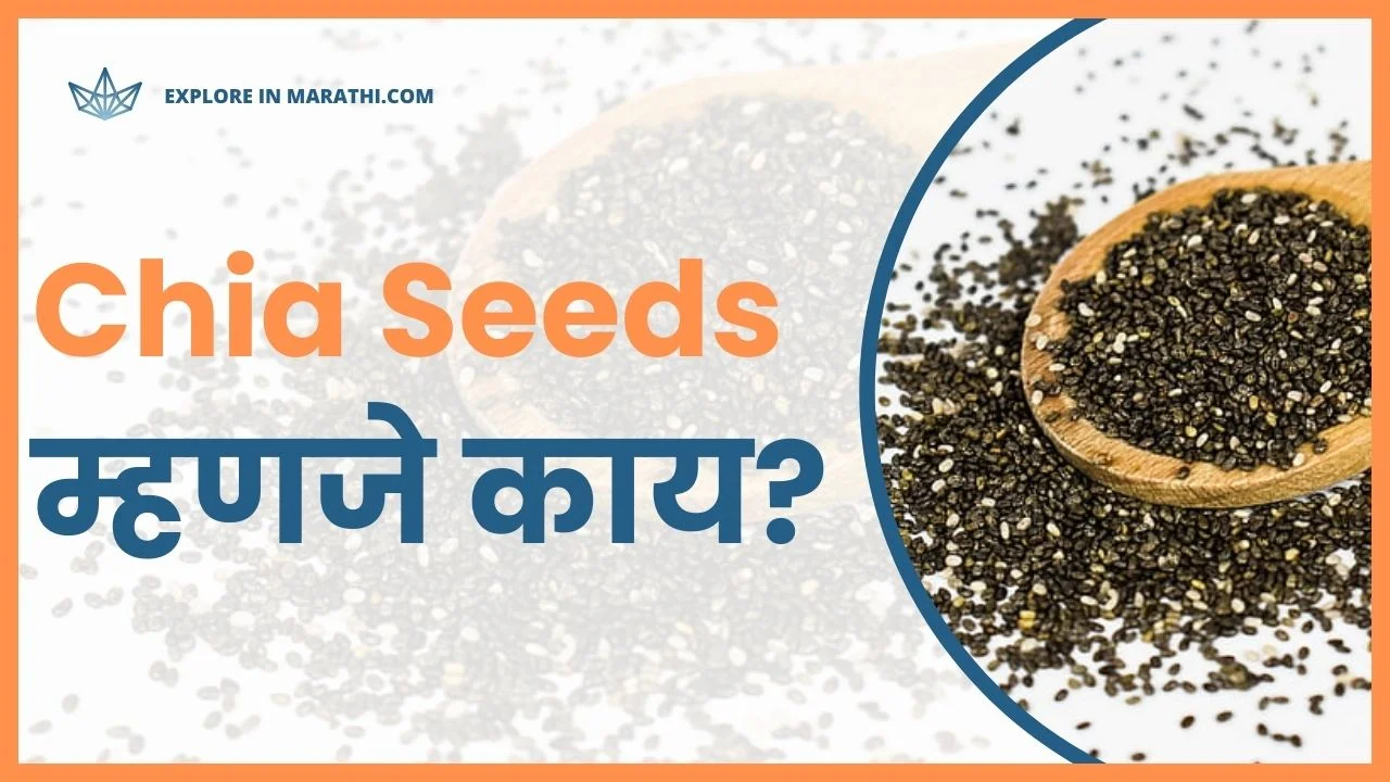 Chia Seeds in Marathi